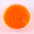 Слайм «Плюх» контейнер 350 г, оранжевый - фото 32264408