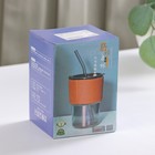 Стакан «Вида», 350 мл, с крышкой и трубочкой, стекло, МИКС - Фото 11