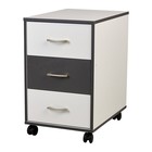 Тумба на колёсах Polini Kids Mirum, с ящиками, 40х55 см, цвет белый-графит - фото 114527228