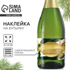 Наклейка на бутылку «Шампанское новогоднее», зелёный с золотом, 12×8 см - Фото 1