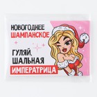 Наклейка на бутылку «Шампанское новогоднее», шальная императрица, 12 х 8 см (комплект 20 шт) - фото 25394898