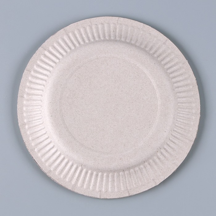 Тарелка бумажная «С Днём Рождения», капибара, 18 см 9890601