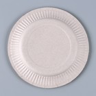 Тарелка одноразовая бумажная "Капибара", 18 см (комплект 10 шт) - фото 24369607