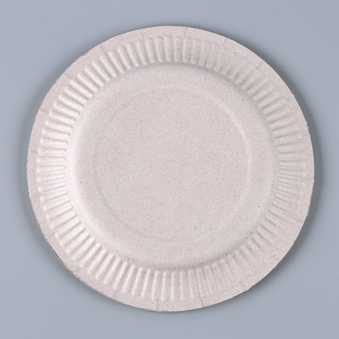 Тарелка бумажная «Капибара», 18 см 9890602