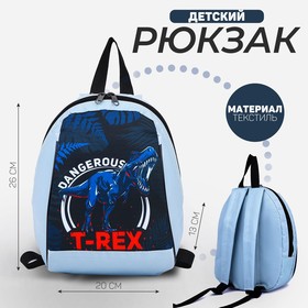 Рюкзак школьный детский для мальчика «Динозавр», 20х13х26, отд на молнии, серый