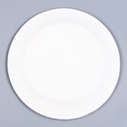 Набор бумажной посуды одноразовый Утки»: 6 тарелок, 1 гирлянда, 6 стаканов, 6 колпаков - фото 4612758