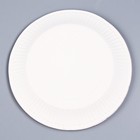 Набор бумажной посуды одноразовый Аниме»: 6 тарелок, 1 гирлянда, 6 стаканов - фото 4612802