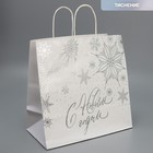 Пакет подарочный крафтовый Winter, 32 × 28 × 15 см - фото 10821785