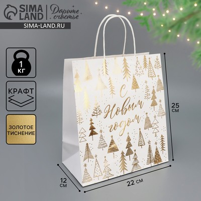 Пакет подарочный новогодний крафтовый «С Новым годом», 22×25×12 см