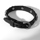 Браслет кожа «Хардкор» черепа пираты, цвет чёрный в серебре - Фото 2