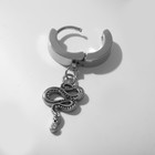 Пирсинг в ухо «Кольцо» змея извивающаяся, d=13 мм, цвет серебро - фото 7294428