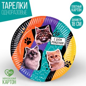 Тарелка одноразовая бумажная "С Днём Рождения",коты, 18 см