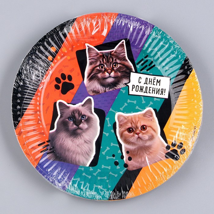 Тарелка бумажная «С днём рождения. Коты», 18 см 9796336