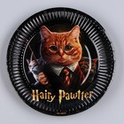 Тарелка одноразовая бумажная "Happy Birthday", волшебный кот, 18 см - Фото 2
