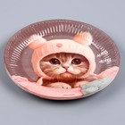 Тарелка одноразовая бумажная "Котик",мяу, 18 см 9796341