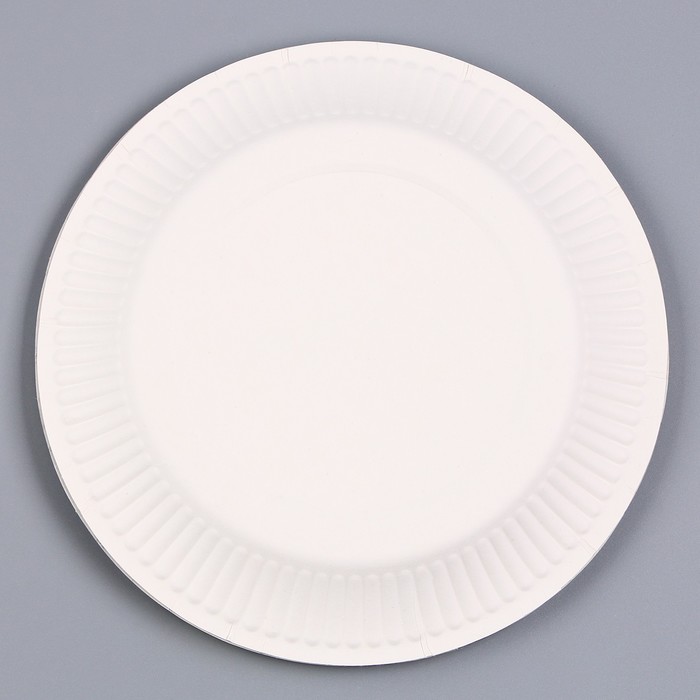 Тарелка бумажная «С днём рождения. Красотка», 18 см 9796359