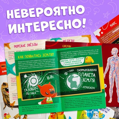 Набор мини-энциклопедий, 6 шт. по 20 стр., 12×17 см, Ми-Ми-Мишки