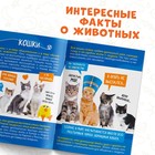 Мини-энциклопедия «Питомцы», 20 стр., 12 × 17 см, Ми-Ми-Мишки - Фото 3