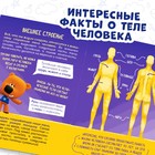 Мини-энциклопедия «Тело человека», 20 стр., 12 × 17 см, Ми-Ми-Мишки - Фото 3