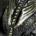 Копилка "Дракон на деньгах" черная с золотым, 18см - Фото 4