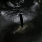 Копилка "Гиря Дракон" черная, 20см - фото 24292702