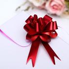 Подарочный бант - шар № 1.8 «Классика», красный, для упаковки подарков - Фото 1