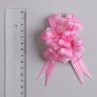 Бант-шар № 1,8 "Тонкие полоски", цвет малиновый - Фото 2