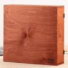 Родословная книга в шкатулке «Древо», 56 листов, набор 3 предмета. - Фото 12