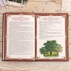 Родословная книга в шкатулке «Древо», 56 листов, набор 3 предмета - фото 9807431