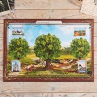 Родословная книга в шкатулке «Древо», 56 листов, набор 3 предмета. - Фото 4