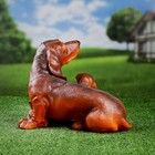 Садовая фигура "Такса с щенками" 19х24х32см - фото 24255712