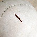 Копилка "Череп Йорик" серый камень, 23х14х17см - фото 9485316