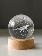 Световая фигурка стекло «Шар. Голограмма: Кит», d=6 см, подставка дерево, USB, 6.5×6.5×7.5 см - Фото 3