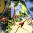 Шар ёлочный «Чудес в Новом году!», d=7 см. - Фото 7