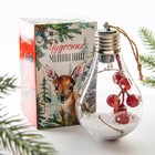 Шар ёлочный «Чудесных мгновений», на Новый год, d=7 см - Фото 3