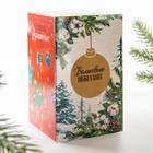 Шар ёлочный «Чудесных мгновений», на Новый год, d=7 см - Фото 8