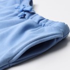 Шорты женские, цвет гортензия, размер 42 - фото 22700837