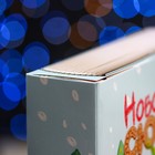 Подарочная коробка "Книга Новогодний сюрприз" 18,5 х 5 х 23,6 см - Фото 5