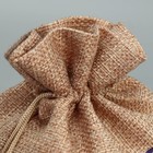 Набор мешков с термонаклейкой «Новогодний шар», 16 × 24 см 9615342