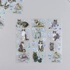 Наклейки для творчества "Серые котики и голубые цветы" набор 6 листов 18х6 см - фото 10889503