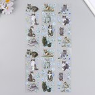 Наклейки для творчества "Серые котики и голубые цветы" набор 6 листов 18х6 см - Фото 2