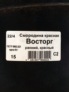 Саженец Смородина красная Восторг, горшок С2, 1 шт. - Фото 2