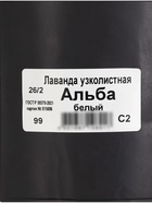 Лаванда узколистная «Альба», саженец, горшок С2, 1 шт., Лето 2026, «ПОИСК» - Фото 2