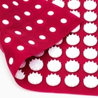 Аппликатор Кузнецова комплект, 144 колючки, спантекс, красный, 260×560 мм + валик 140×230 - Фото 5