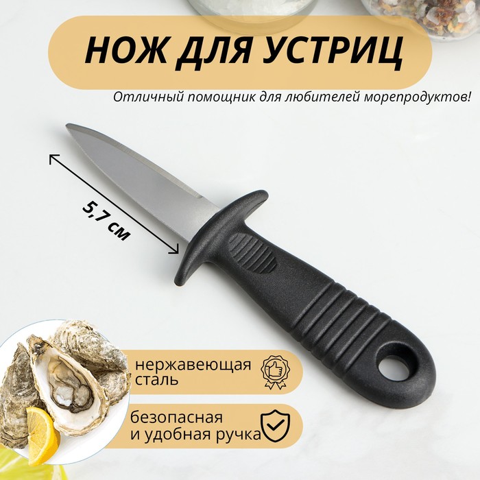 Нож для устриц Доляна, 14×4,4 см, длина лезвия 5,7см, цвет чёрный