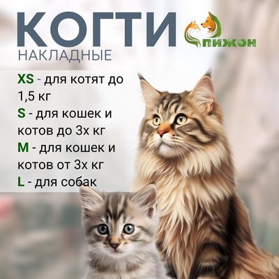 Накладные когти «Антицарапки», размер M, прозрачные