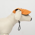 Кепка для собак, S (22-34 см), оранжевая - Фото 3