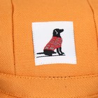 Кепка для собак, S (22-34 см), оранжевая - фото 7212319