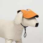Кепка для собак, M (28-41 см), оранжевая - фото 7212322