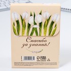 Набор: ежедневник А6, 120 листов и фигурная свеча «Учителю, который вдохновляет» 9602065 - фото 16188338